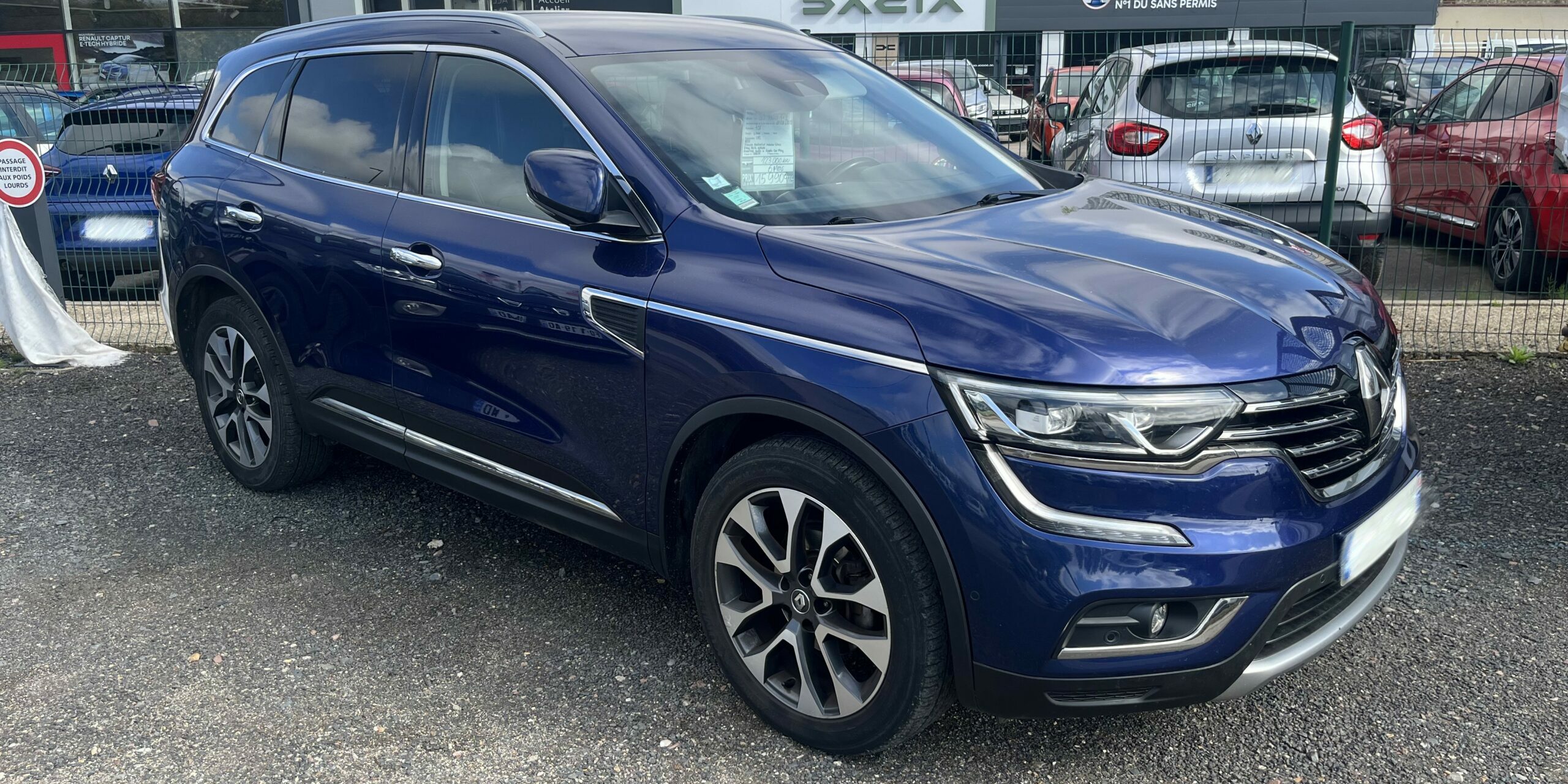 KOLEOS PINEL (1)